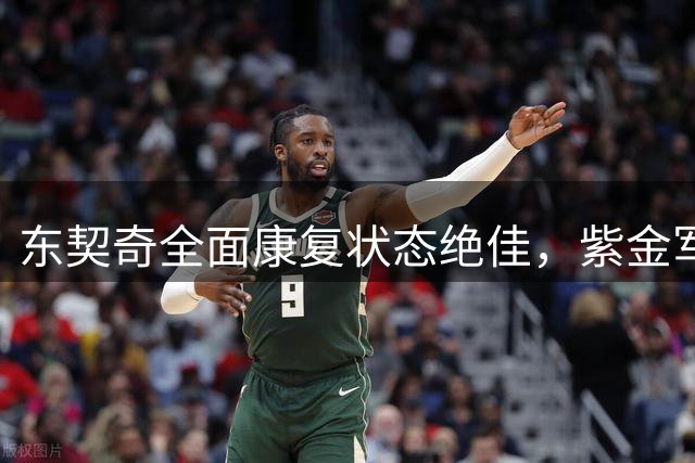 东契奇全面康复状态绝佳，紫金军团新时代正式开启